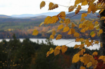 Autumn in New Hampshire/Maine