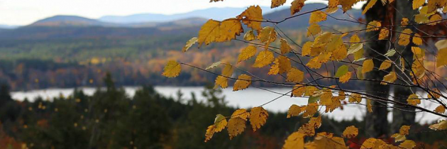 Autumn in New Hampshire/Maine