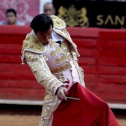 Bullfighting Documentary Teaser